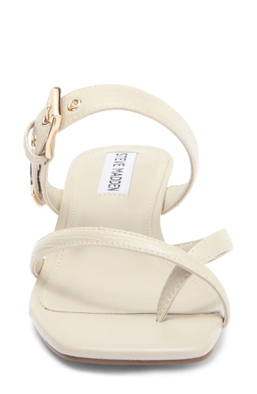Steve Madden Jamesy Slide Sandal In Bone