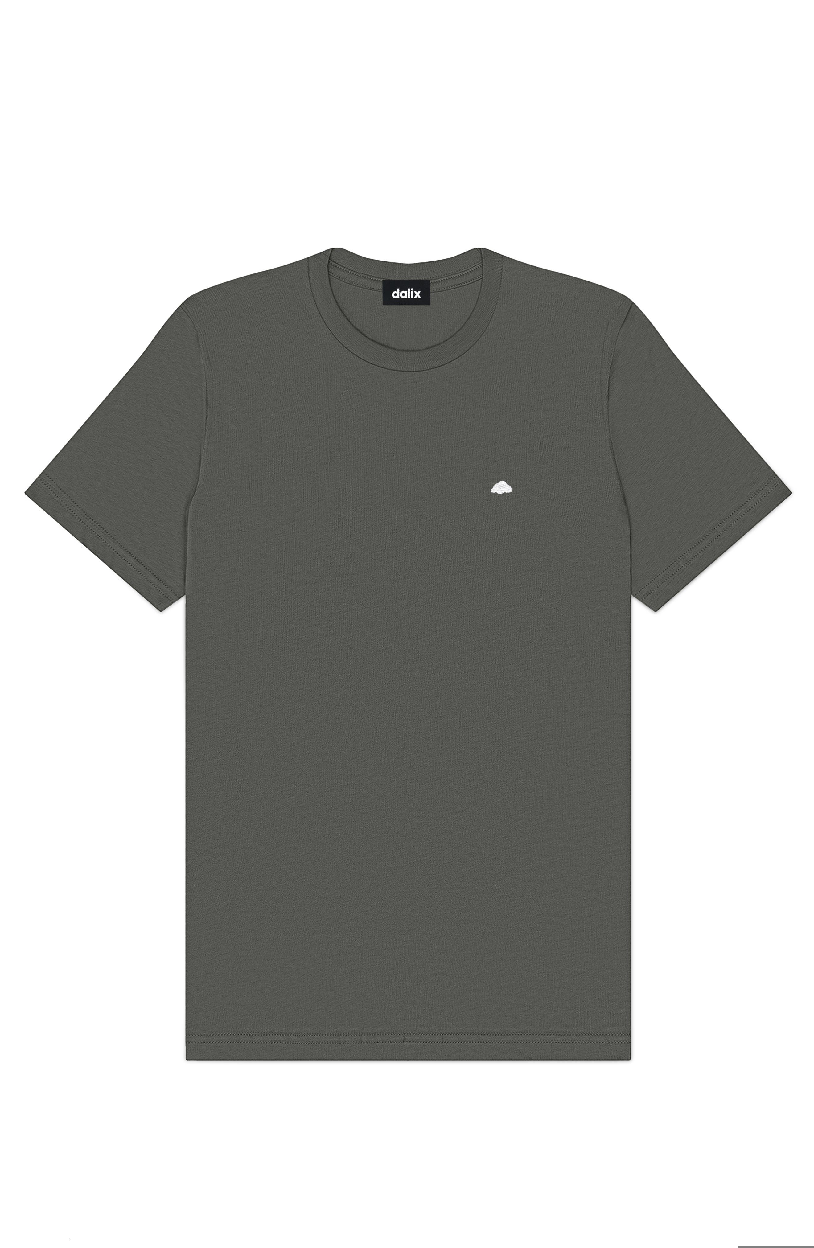 Asphalt Gray