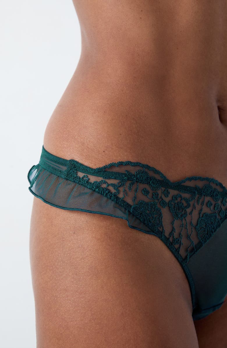 Etam Posie Embroidered Mesh Thong, Alternate, color, 