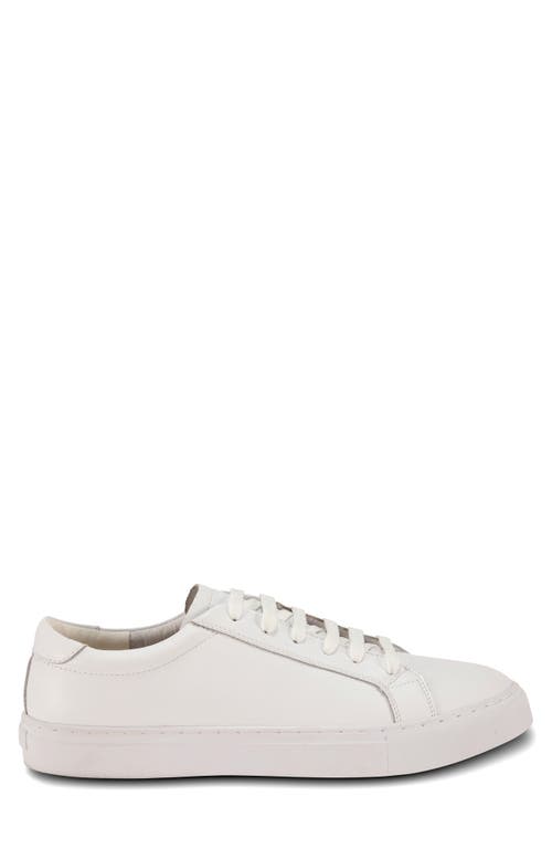 Gernie 36s Low Top Sneaker In White Napa