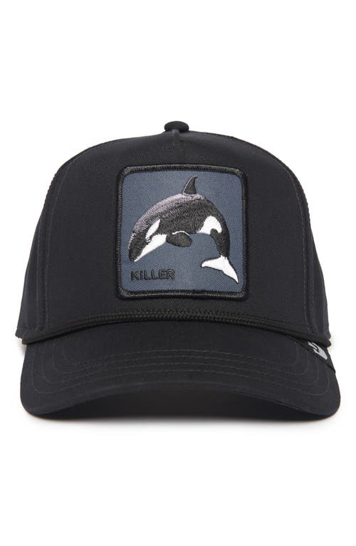 Goorin Bros . Killer Whale Patch Cotton Snapback Hat In Black
