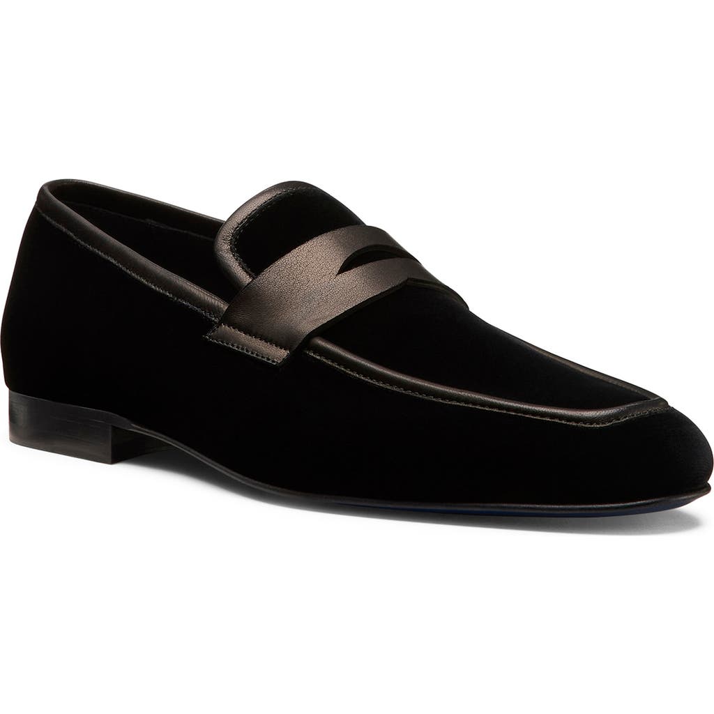 Stuart Weitzman Dino Loafer In Black