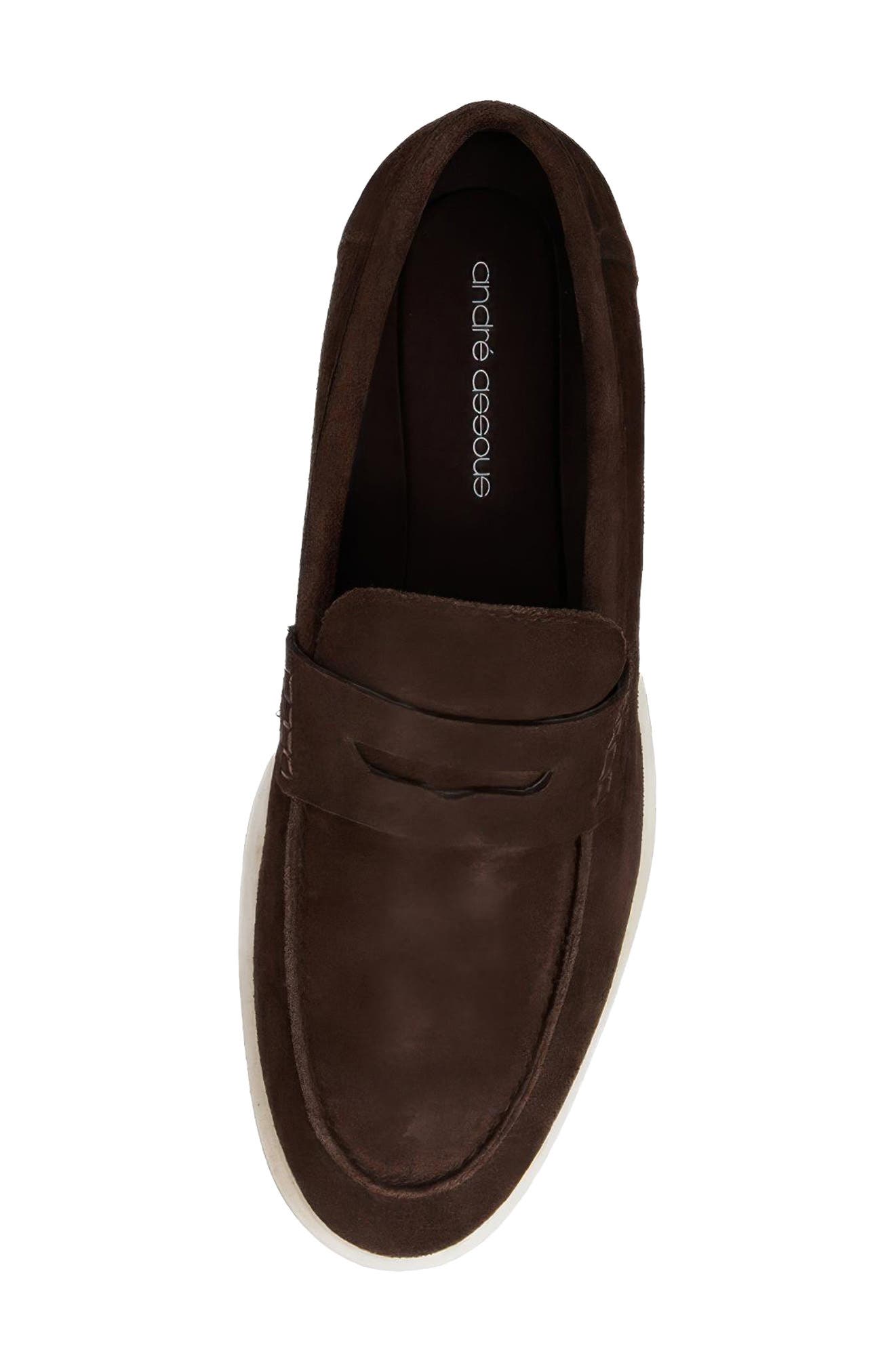 Ricardo Leather Penny Loafer, Alternate, color, DARK BROWN SUEDE