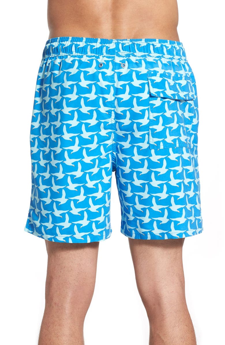 Tom & Teddy Seagull Print Swim Trunks, Alternate, color, 