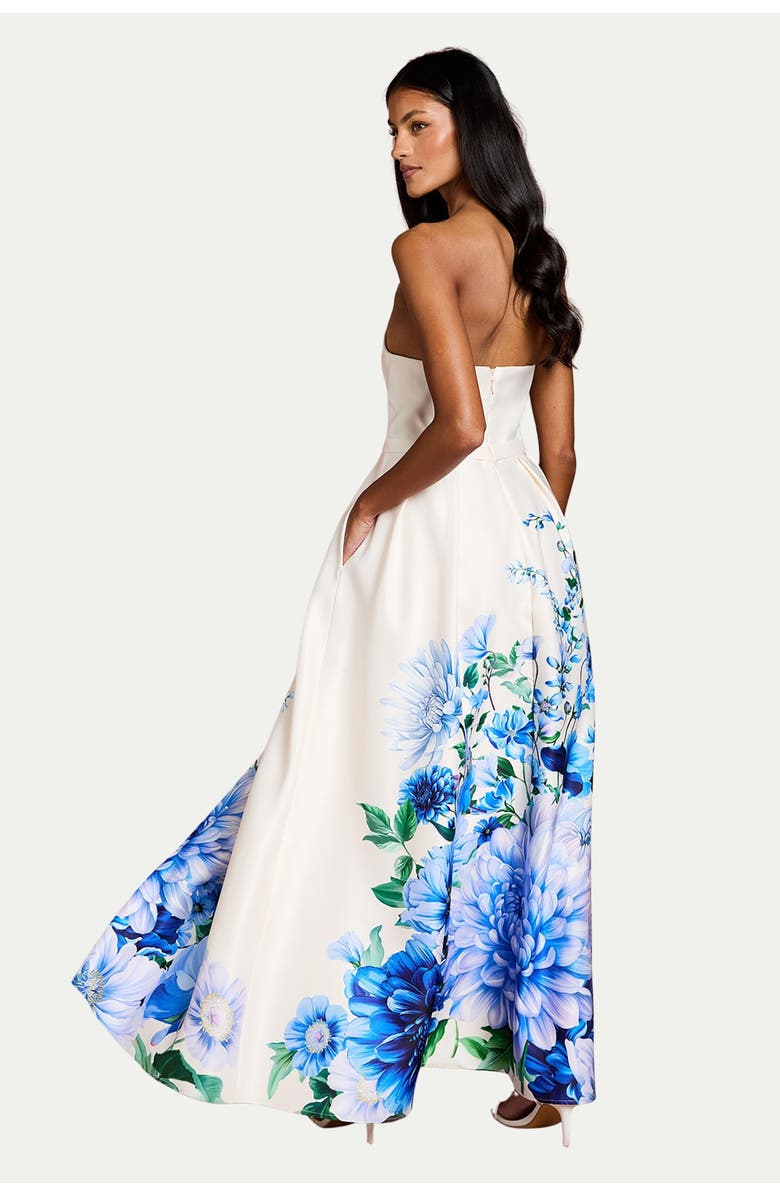 Coast Petite Bandeau Print Maxi Dress, Alternate, color, Blue