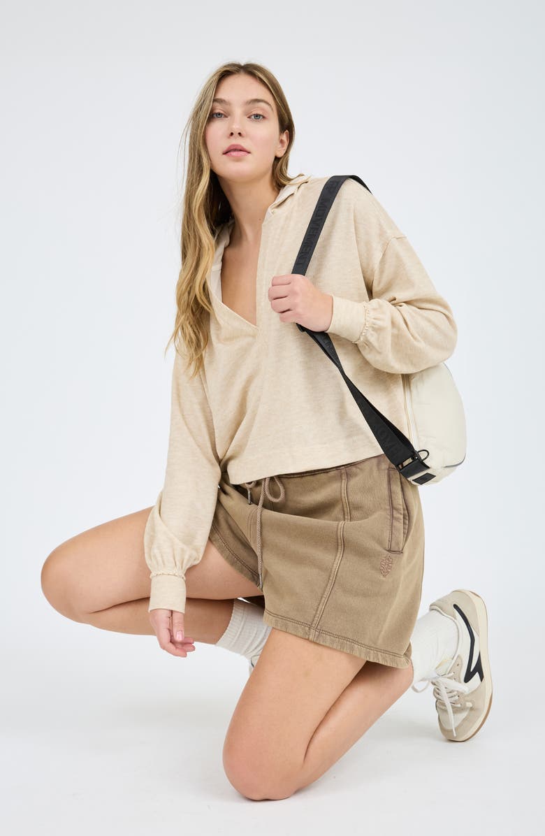 Blu Pepper Solid Hooded Henley, Alternate, color, Taupe