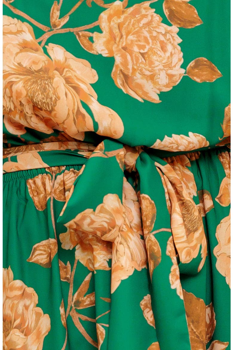 Long Sleeve Print Midi Dress, Alternate, color, GREEN