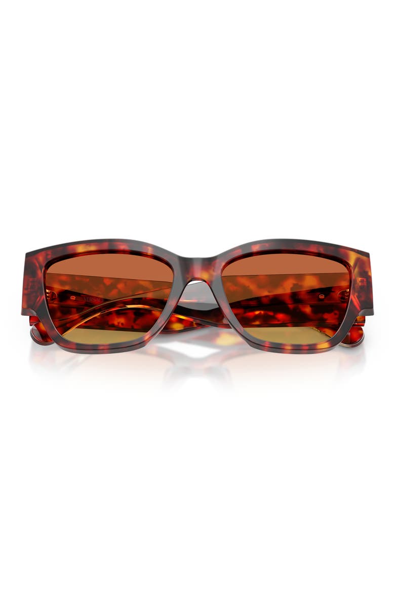 55mm Cat Eye Sunglasses, Alternate, color, RED HAVANA / YELLOW BROWN