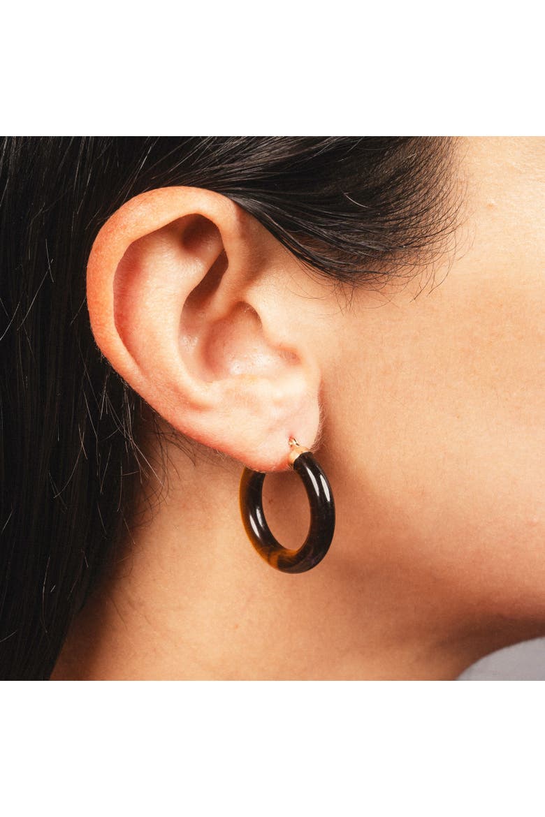 Tigers Eye Hoop Earrings, Alternate, color, Tigers Eye