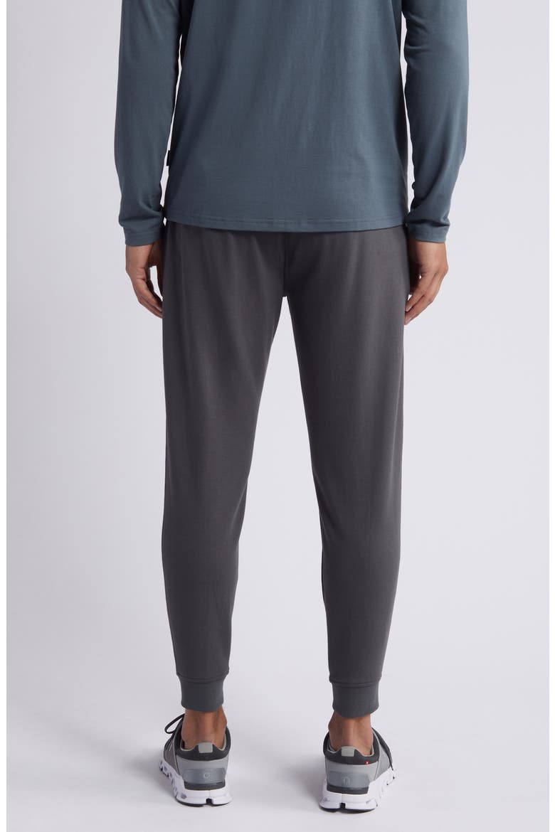 Brushed Fleece Joggers, Alternate, color, BLACK SAND