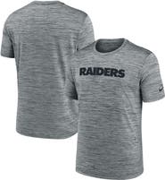 Nike Men's Nike Gray Las Vegas Raiders Velocity Performance T-Shirt