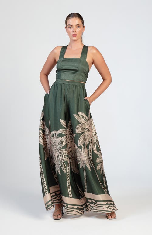 Diarrablu Jant Coria Pants In Coria Olive