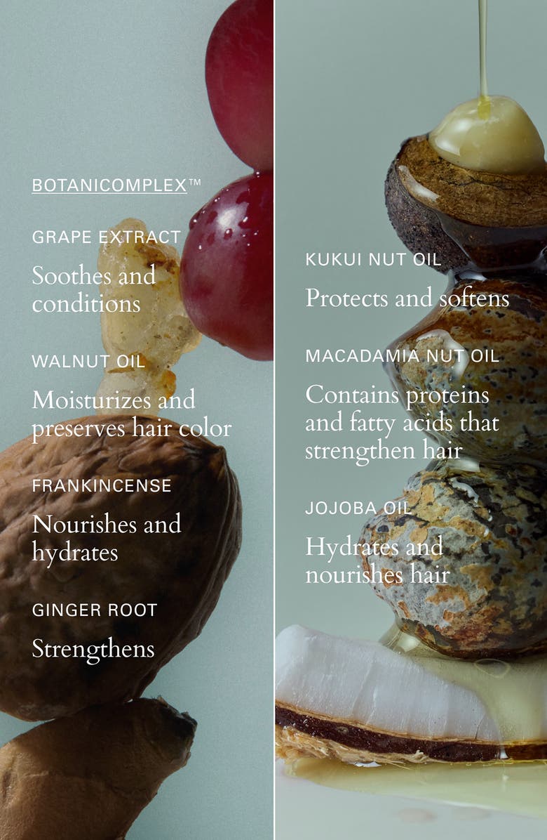 ROZ Healthy Hair & Scalp Kit $181 Value, Alternate, color, 