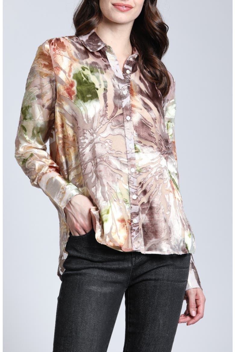 Velvet Burnout Sheer Button-Up Shirt, Main, color, BEIGE MULTI