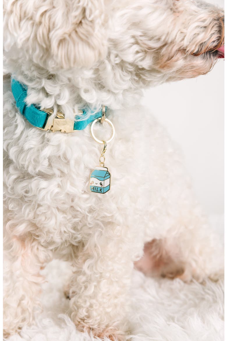 Milk Pet Collar Charm, Alternate, color, Milk