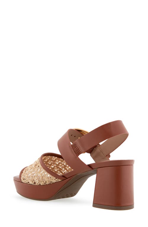 AEROSOLES AEROSOLES CHAMBER PLATFORM SANDAL