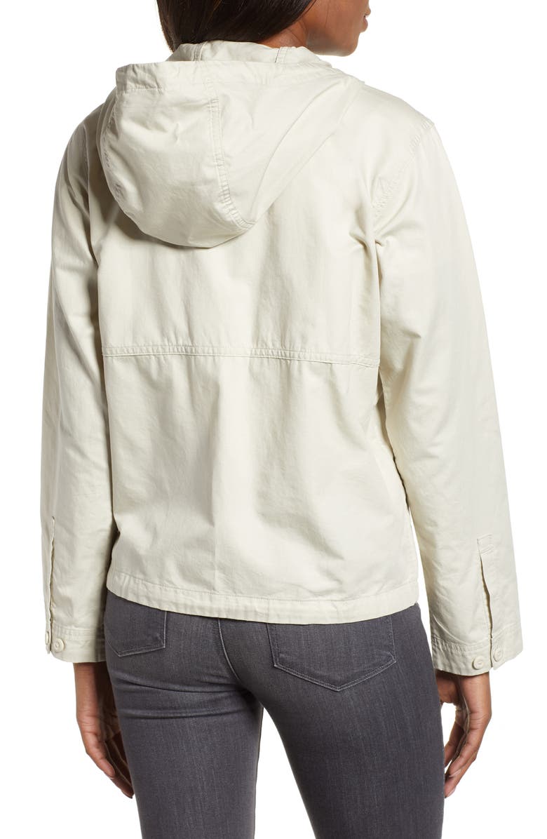 Patagonia Back Canyon Hooded Jacket, Alternate, color, 