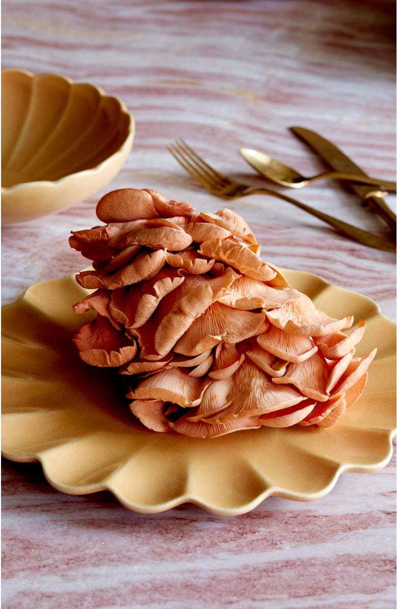 LEMIEUX ET CIE Dhalia Stoneware 4-Piece Salad Plate Set, Alternate, color, Camel