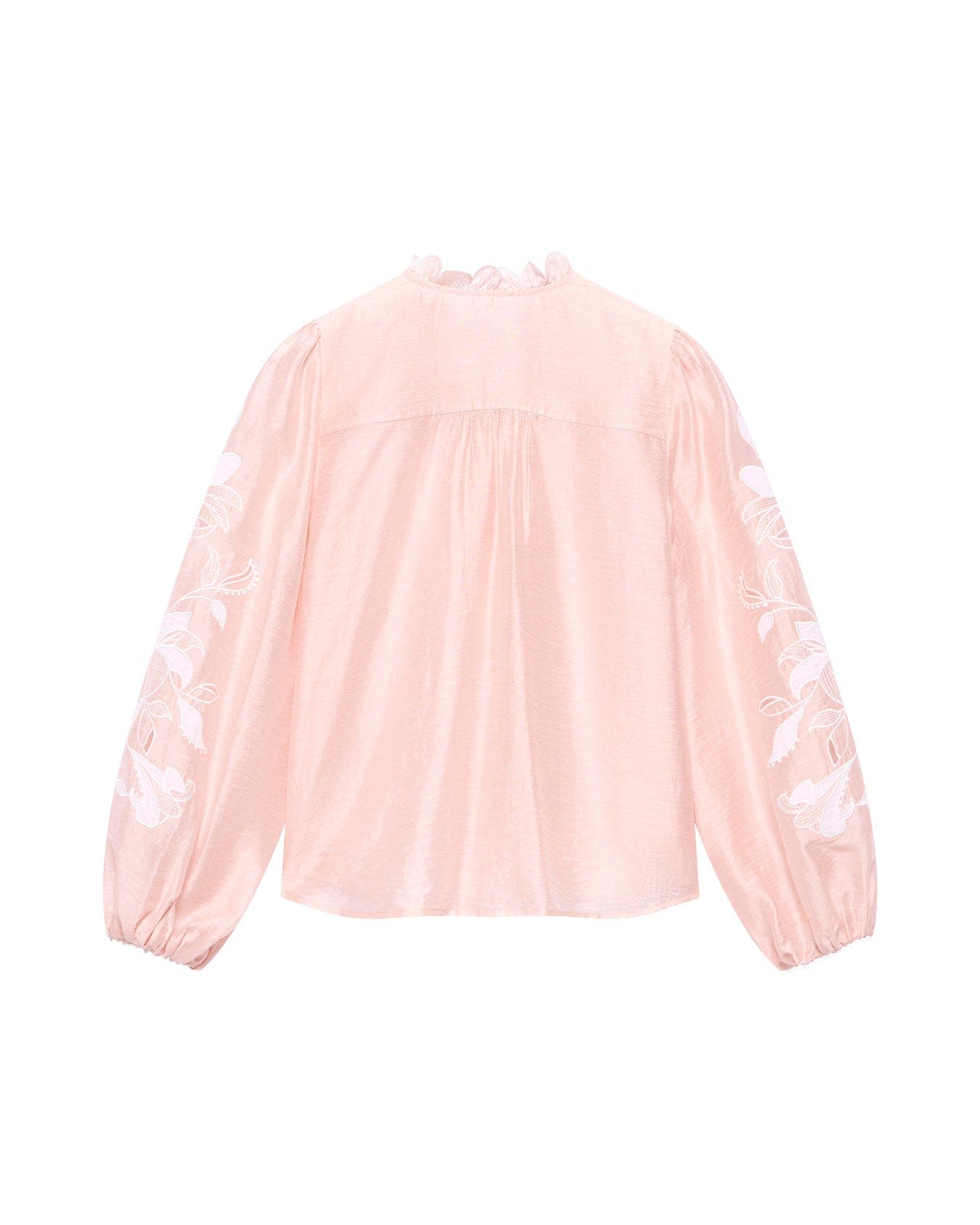 Embroidered Ruffle Blouse (Women) | Nordstrom