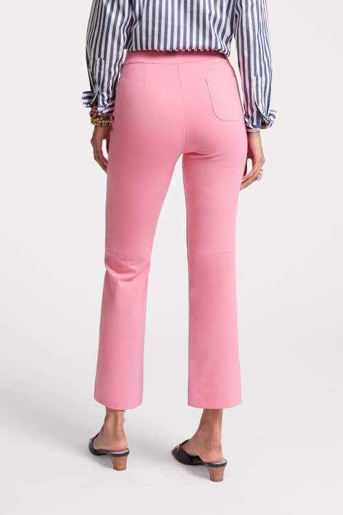 Shop Frances Valentine Wonder Pant Solid Stretch In Pink