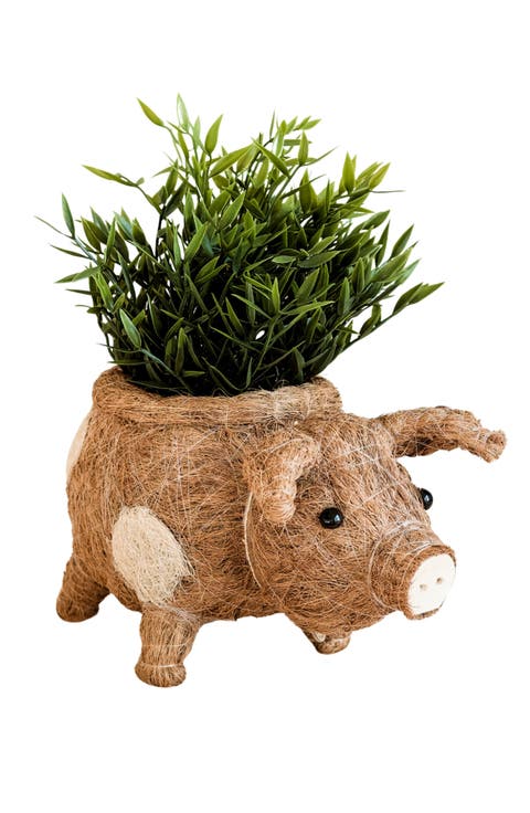 Farm Animal Coco Coir Planters