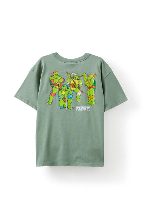 Cotton On Kids Kid's Licensed Drop Shoulder Short Sleeve Tee In Moss Green Tmnt 84