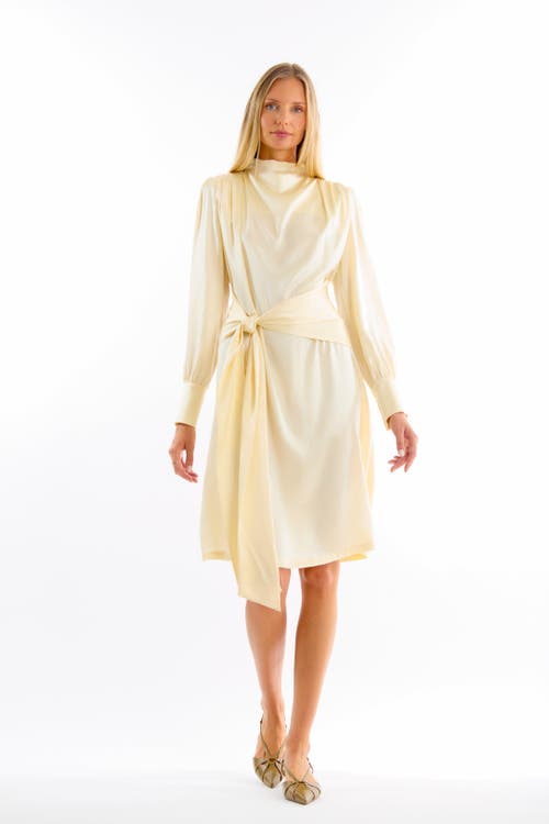 Secret Mission Mina Dress In Neutral