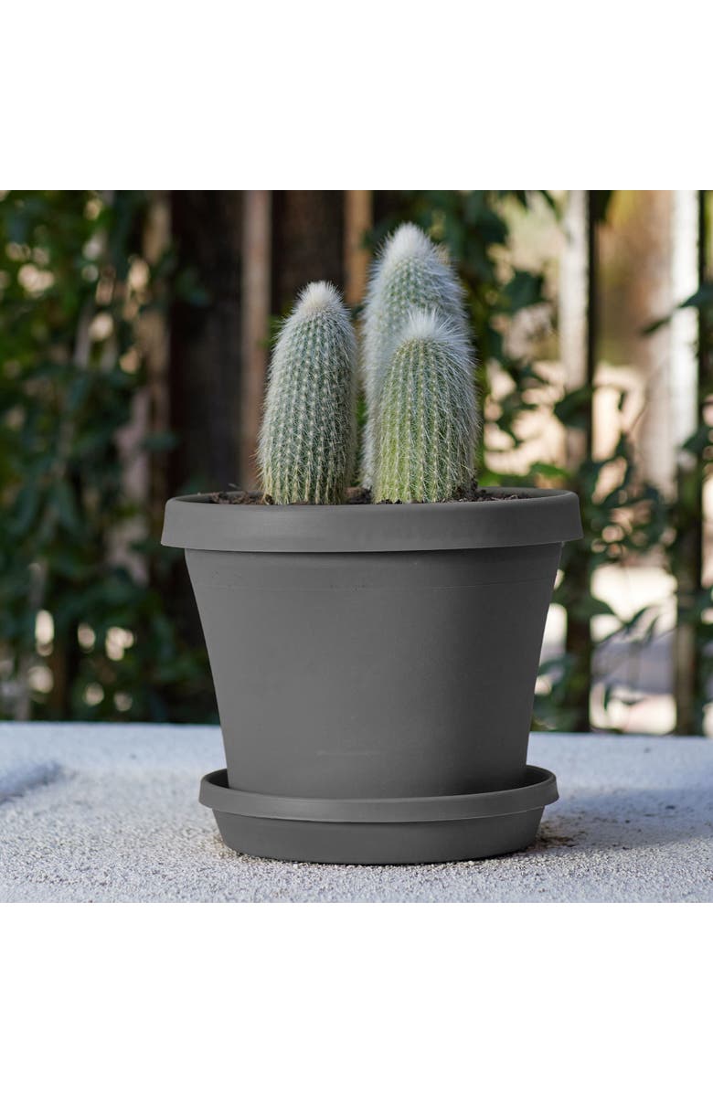 Bloem Terra Pot Planter 12" Charcoal Durable Resin Pot, 3.5 Gallon, Alternate, color, Gray