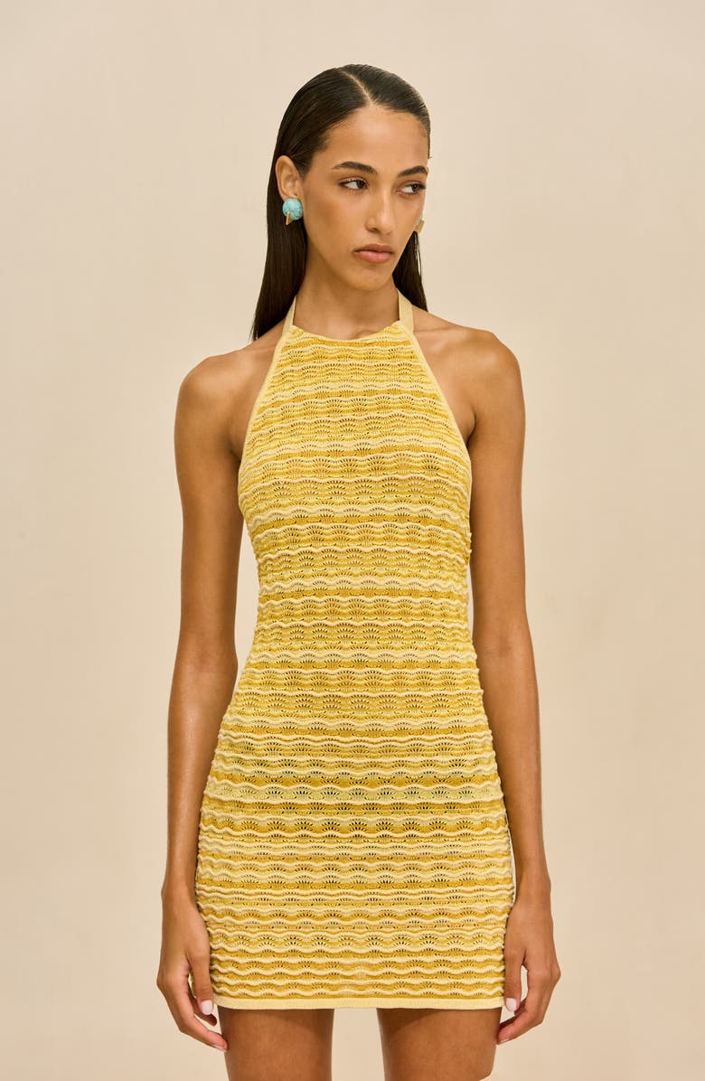 Cult Gaia Erina Knit Halter Body-Con Minidress, Alternate, color, Marigold