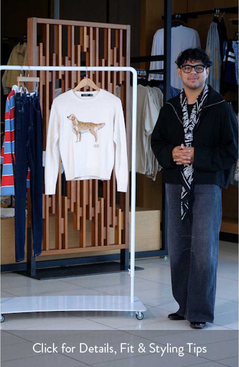 Intarsia Golden Retriever Cotton Sweater, sales video thumbnail