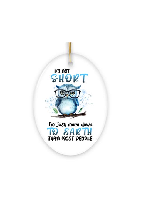 Down To Earth Owl Oval Ceramic Ornament