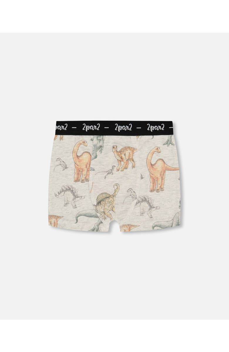Deux par Deux Boy's Printed Organic Cotton Boxer Shorts Dinosaur On Mottled And Tan Background, Main, color, Dinosaur On Mottled And Tan