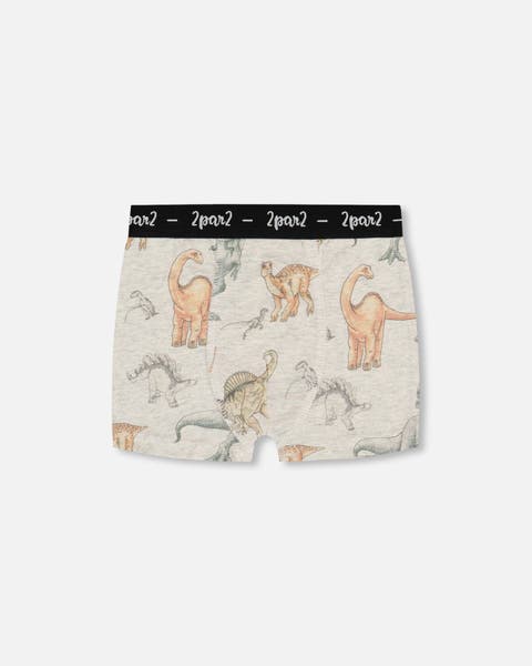 Boy's Printed Organic Cotton Boxer Shorts Dinosaur On Mottled And Tan Background