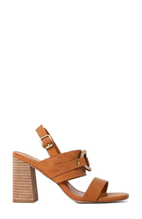 Shushop Hannah Block Heel Slingback Sandal In Brown
