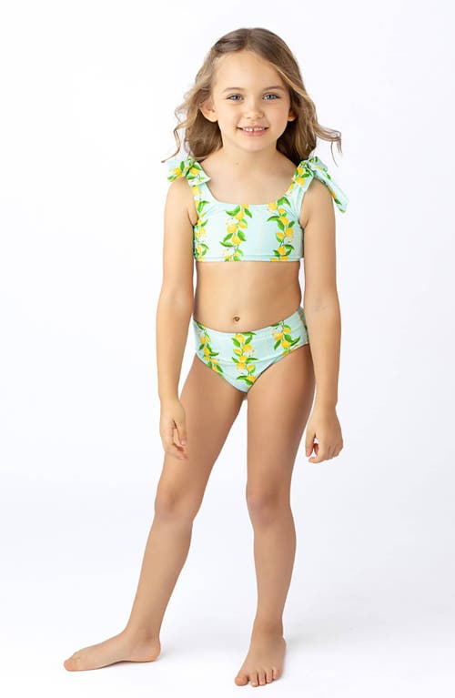 SHADE CRITTERS SHADE CRITTERS KIDS' CITRUS GROVE TWO-PIECE SWIMSUIT