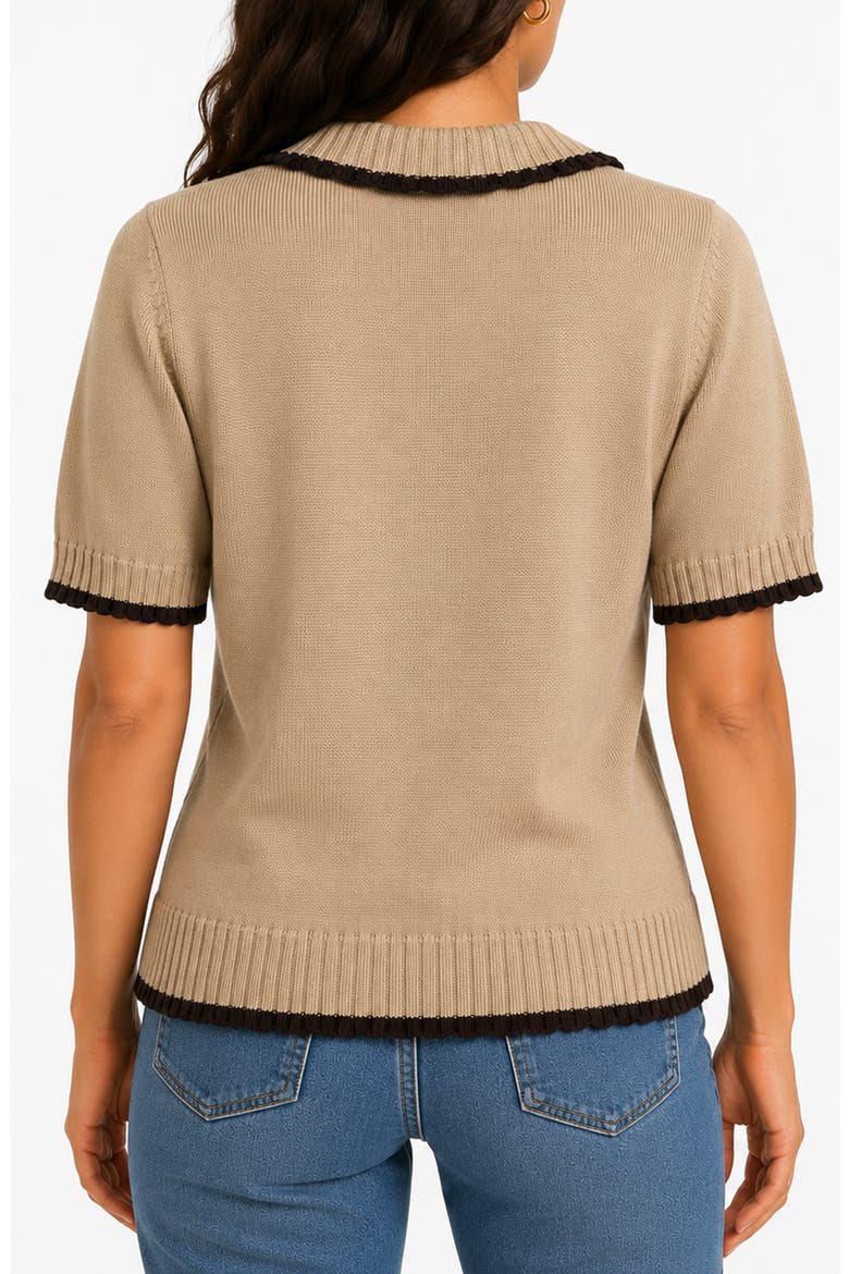Stripe Polo Sweater, Alternate, color, OATMEAL/ BROWN