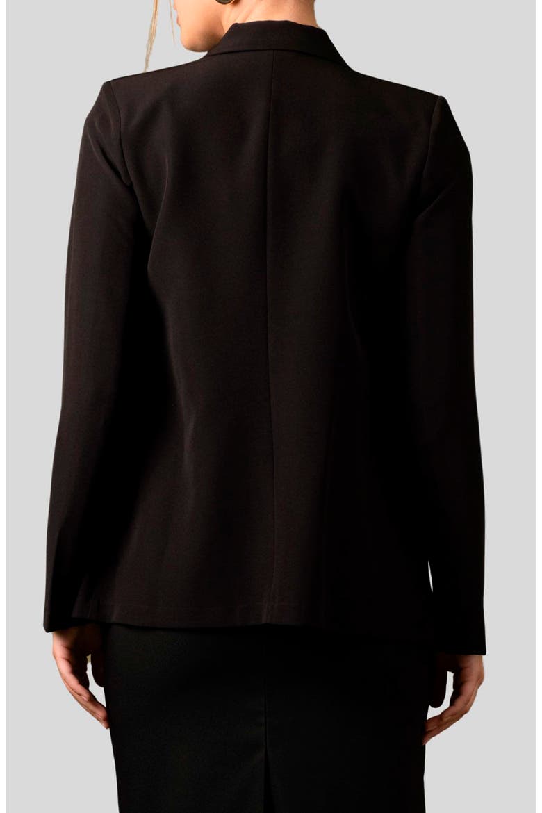 Solid Double Breasted Blazer, Alternate, color, BLACK