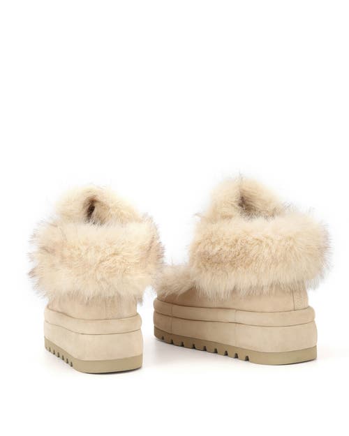 Naked Wolfe Bambi Suede Boot In White