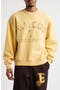 University Crewneck Graphic Sweatshirt
