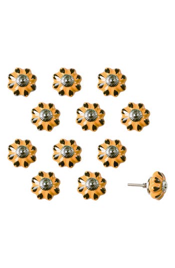 Kinetic 12-pack Knobs In Golden Flower