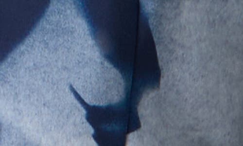 Akris Cyanotype Print Long Sleeve Silk & Wool Shirtdress In Blue