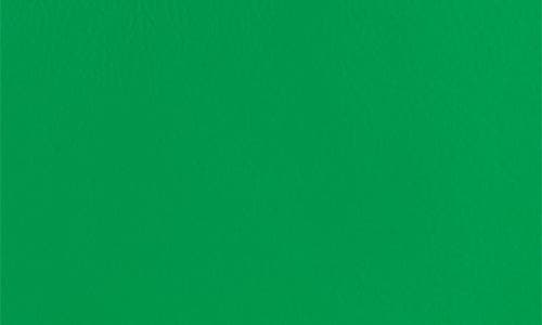 Fred By Fred Segal Medium Shine Mini Shoulder Bag In Green