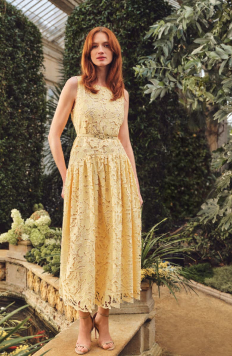 Ted Baker Meli Cutwork Lace Maxi Dress, Alternate, color, Creamed Corn