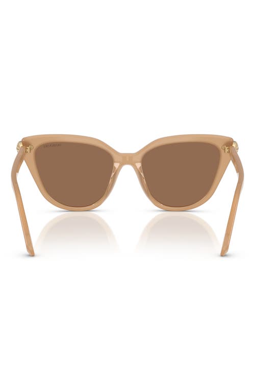Swarovski 56mm Cat Eye Sunglasses