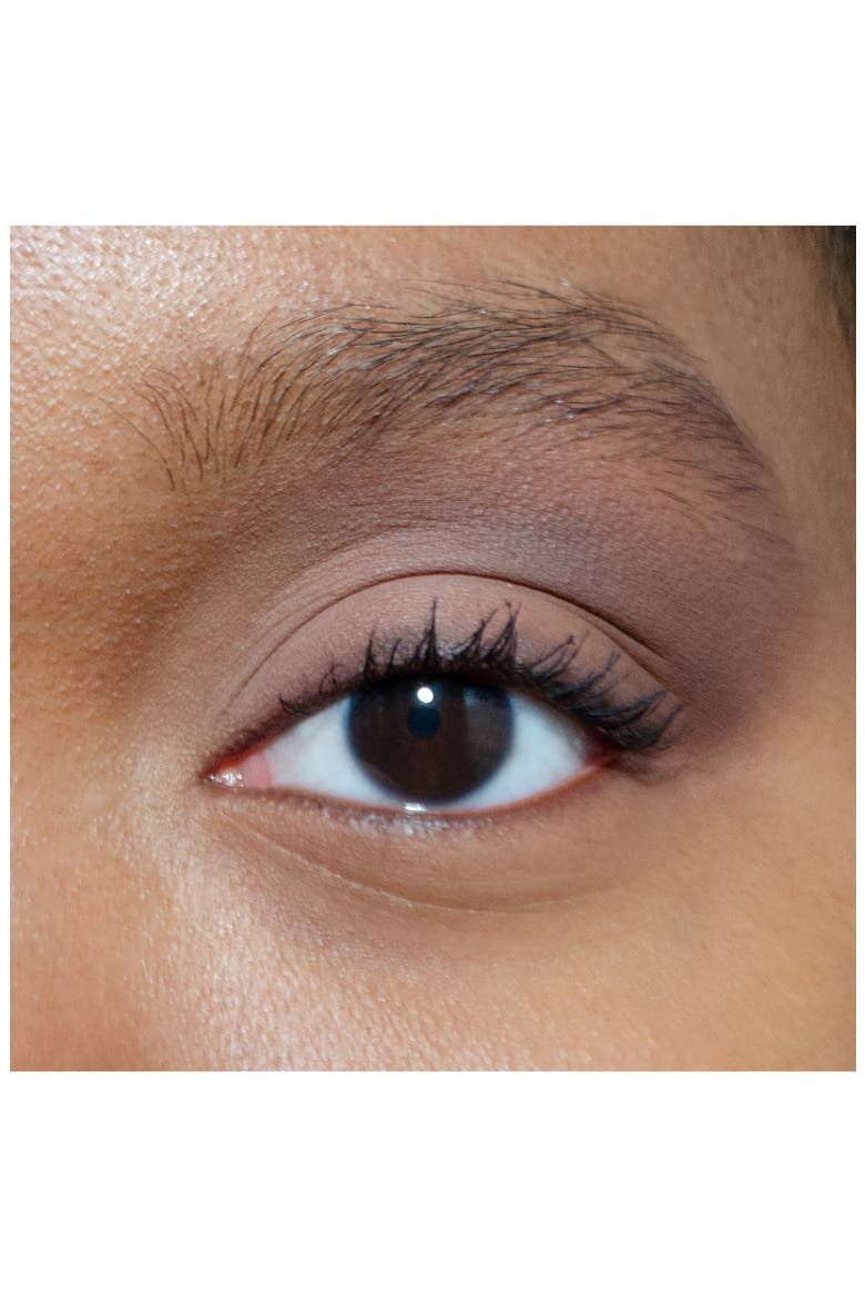 Pretty Shady Pressed Pigment Trio, Alternate, color, THE TOASTY TRIO