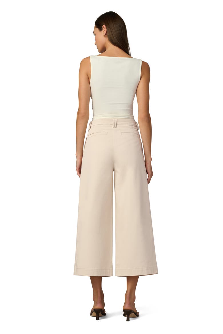 Pleated Culotte Pants, Alternate, color, STONE