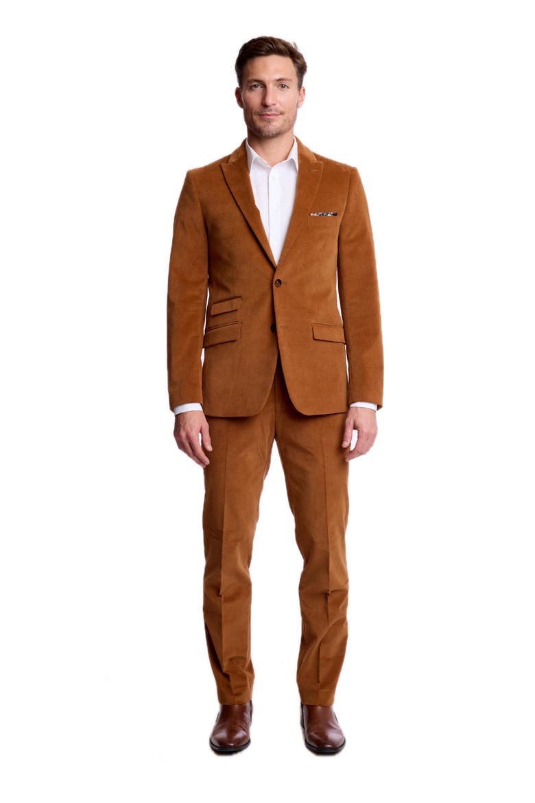 Ashton Slim Peak Jacket, Alternate, color, CARAMEL COFFEE