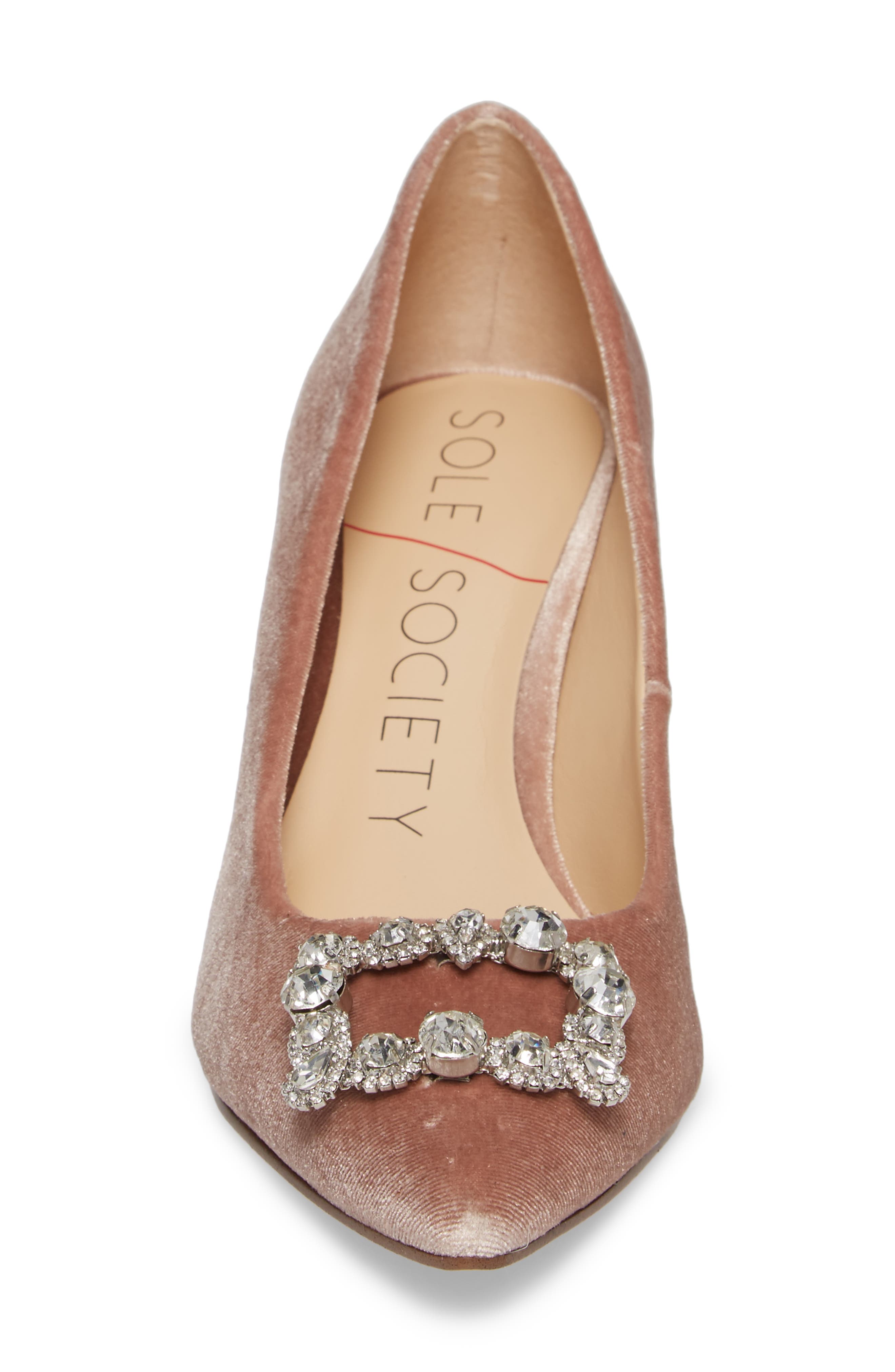 Edilina Crystal Buckle Velvet Pump, Alternate, color, MAHOGANY ROSE