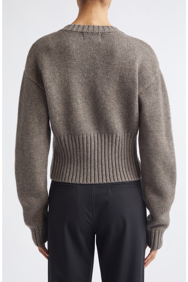 Wool Crewneck Cardigan, Alternate, color, TAUPE MELANGE
