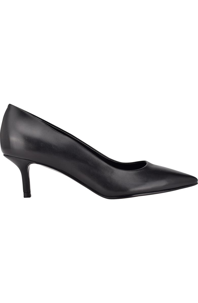 Calvin Klein Danica Pointed Toe Pump, Alternate, color,